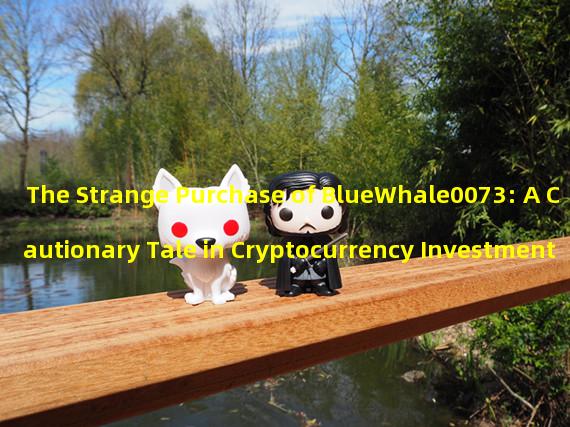 The Strange Purchase of BlueWhale0073: A Cautionary Tale in Cryptocurrency Investment