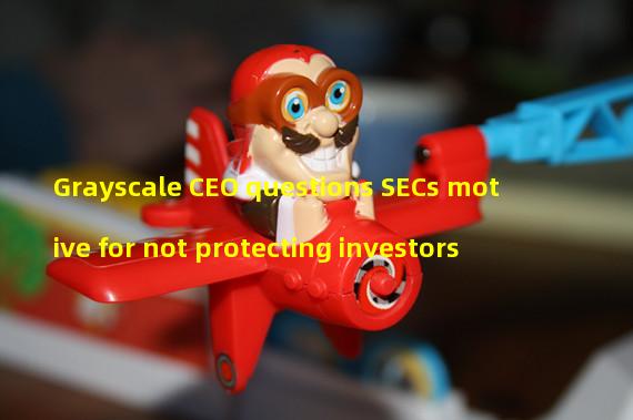 Grayscale CEO questions SECs motive for not protecting investors