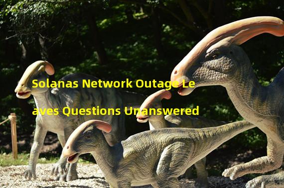 Solanas Network Outage Leaves Questions Unanswered