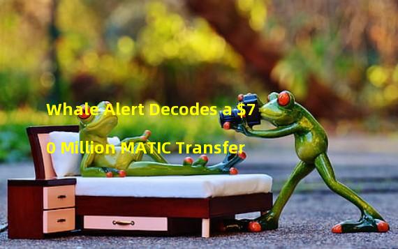 Whale Alert Decodes a $70 Million MATIC Transfer