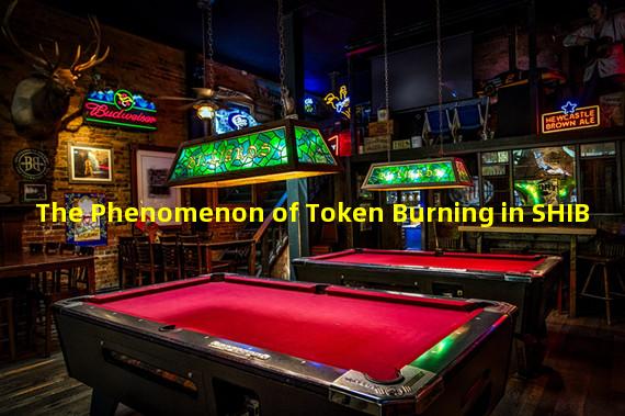 The Phenomenon of Token Burning in SHIB