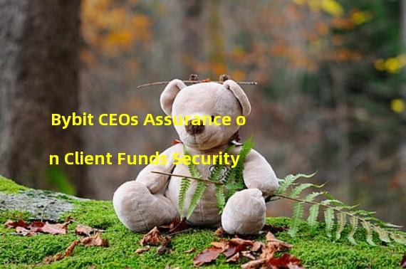 Bybit CEOs Assurance on Client Funds Security