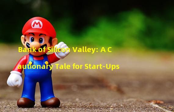 Bank of Silicon Valley: A Cautionary Tale for Start-Ups