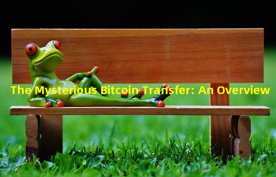 The Mysterious Bitcoin Transfer: An Overview