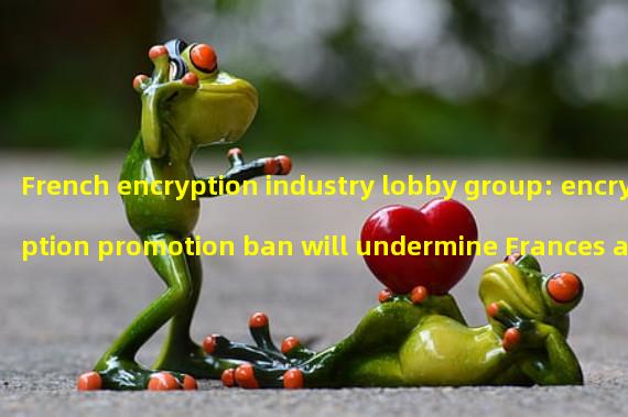 French encryption industry lobby group: encryption promotion ban will undermine Frances attractiveness for Web3