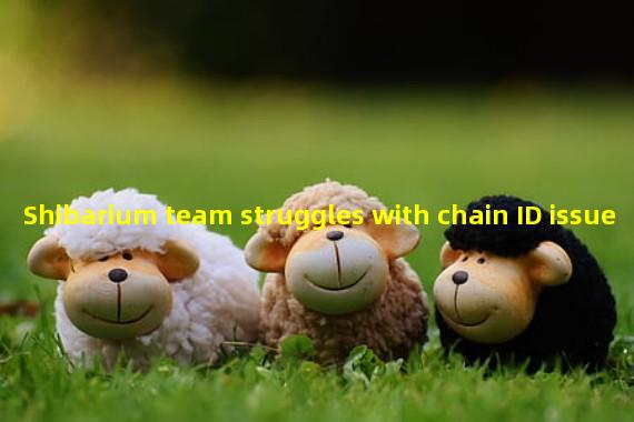 Shibarium team struggles with chain ID issue