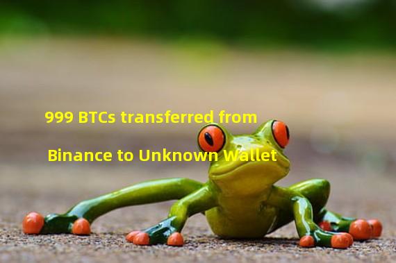 999 BTCs transferred from Binance to Unknown Wallet