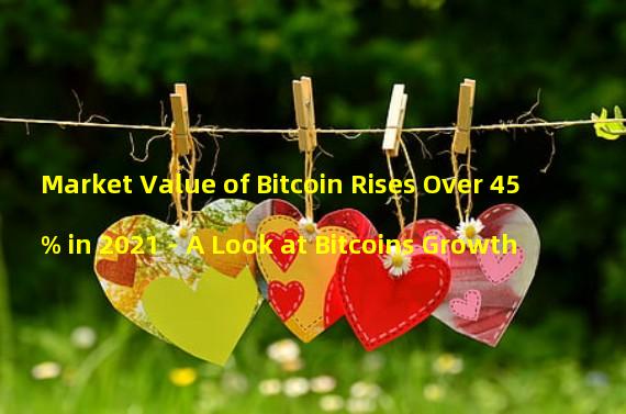 Market Value of Bitcoin Rises Over 45% in 2021 - A Look at Bitcoins Growth