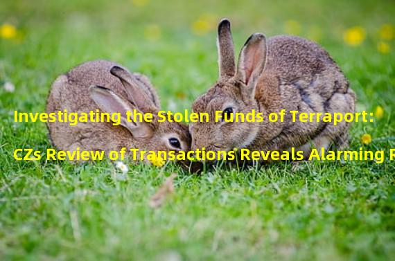 Investigating the Stolen Funds of Terraport: CZs Review of Transactions Reveals Alarming Revelations