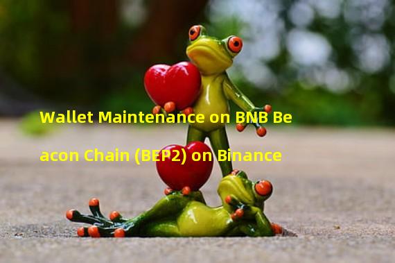 Wallet Maintenance on BNB Beacon Chain (BEP2) on Binance