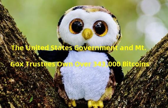 The United States Government and Mt. Gox Trustees Own Over 343,000 Bitcoins