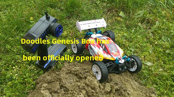 Doodles Genesis Box has been officially opened