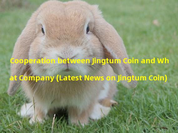 Cooperation between Jingtum Coin and What Company (Latest News on Jingtum Coin)