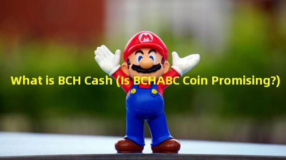 What is BCH Cash (Is BCHABC Coin Promising?)