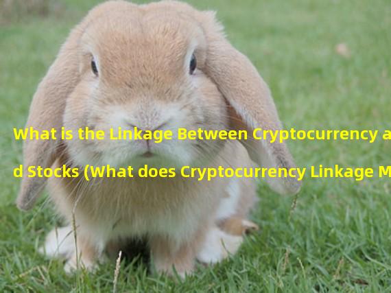 What is the Linkage Between Cryptocurrency and Stocks (What does Cryptocurrency Linkage Mean)?