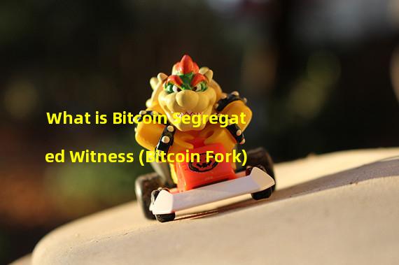 What is Bitcoin Segregated Witness (Bitcoin Fork)