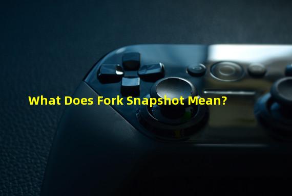 What Does Fork Snapshot Mean?