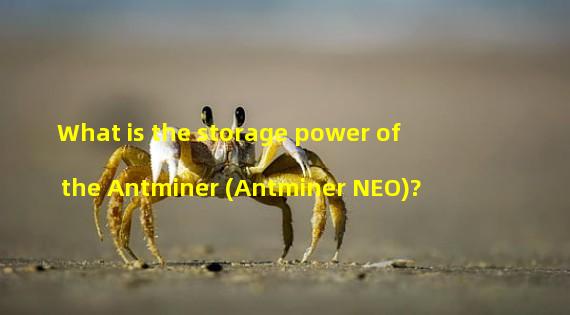 What is the storage power of the Antminer (Antminer NEO)?