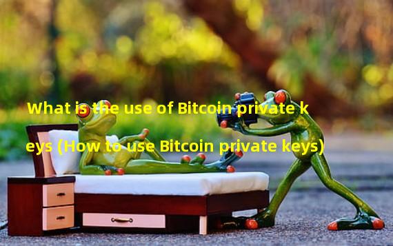 What is the use of Bitcoin private keys (How to use Bitcoin private keys)