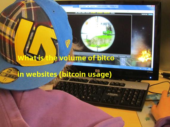 What is the volume of bitcoin websites (bitcoin usage)