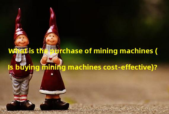 What is the purchase of mining machines (Is buying mining machines cost-effective)?