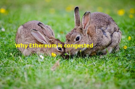 Why Ethereum is congested