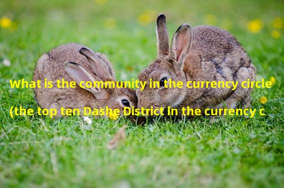 What is the community in the currency circle (the top ten Dashe District in the currency circle)