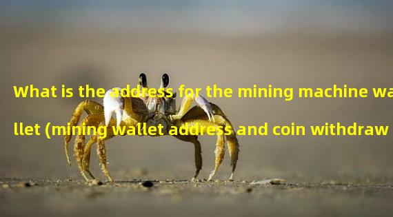 What is the address for the mining machine wallet (mining wallet address and coin withdrawal address)