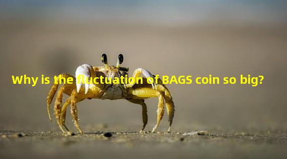 Why is the fluctuation of BAGS coin so big?