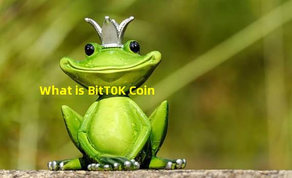 What is BitT0K Coin