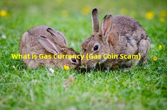 What is Gas Currency (Gas Coin Scam)