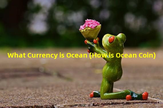 What Currency is Ocean (How is Ocean Coin)