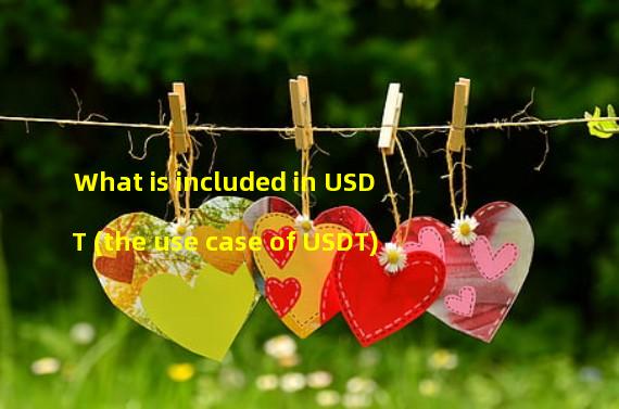 What is included in USDT (the use case of USDT)