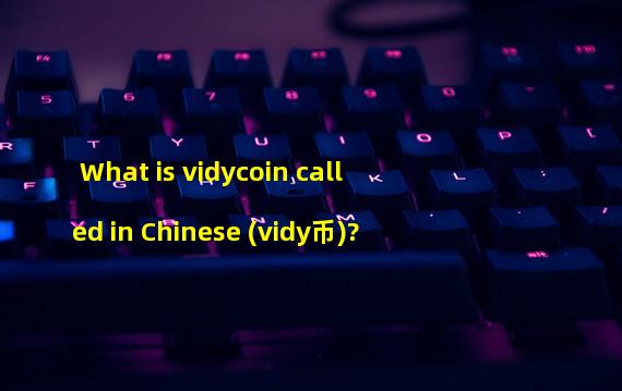 What is vidycoin called in Chinese (vidy币)? 